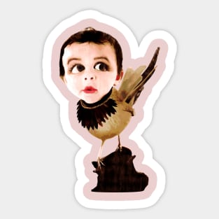 Birdy Boy Sticker